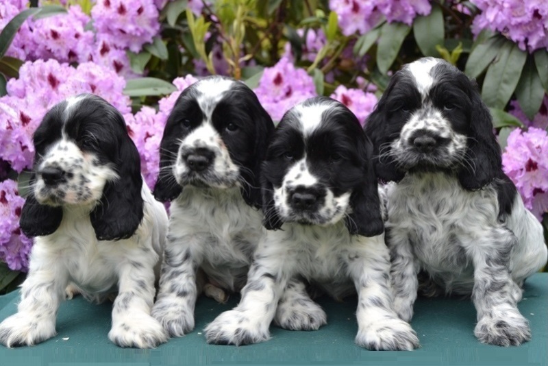 21-Habi, Hanny, Hart, Haidi.JPG